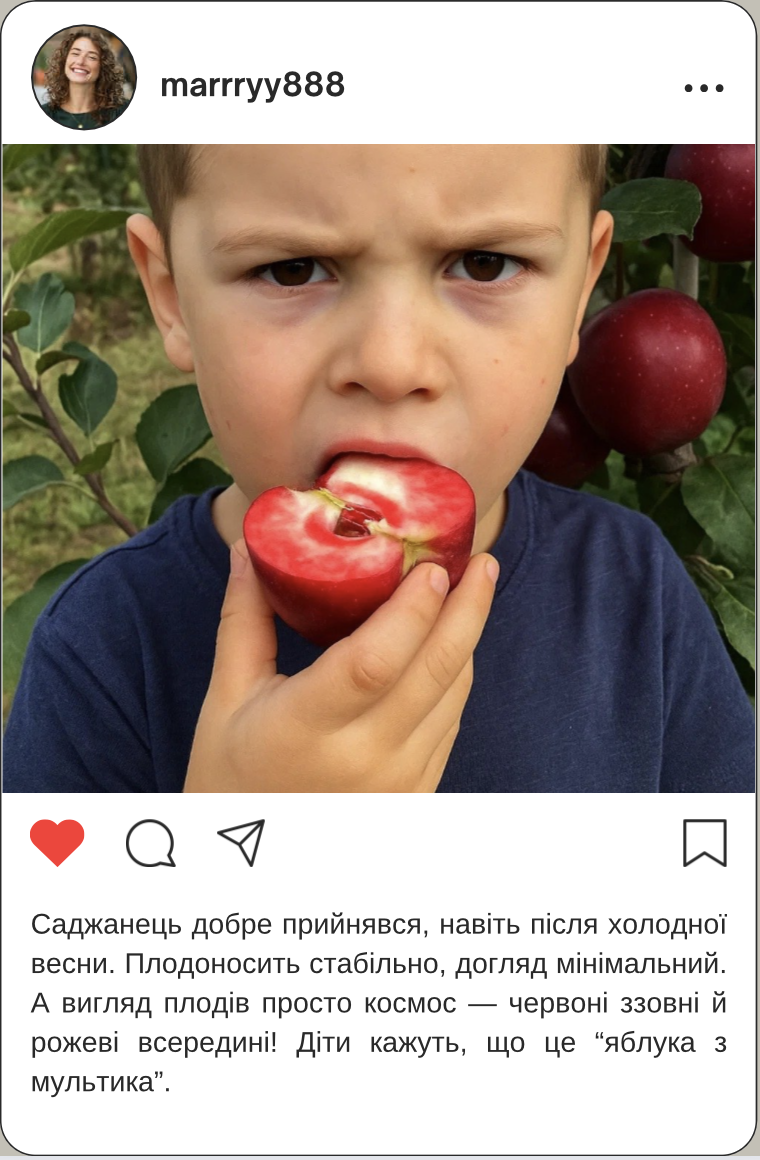 Заголовок