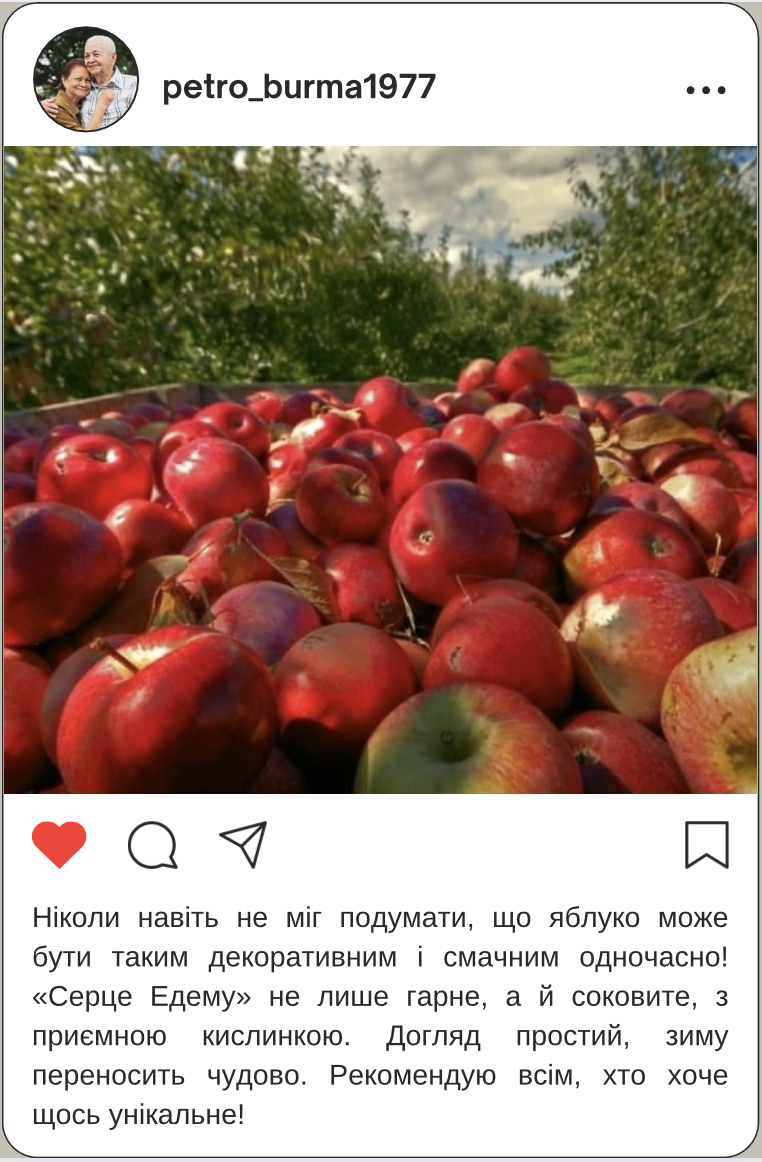 Заголовок