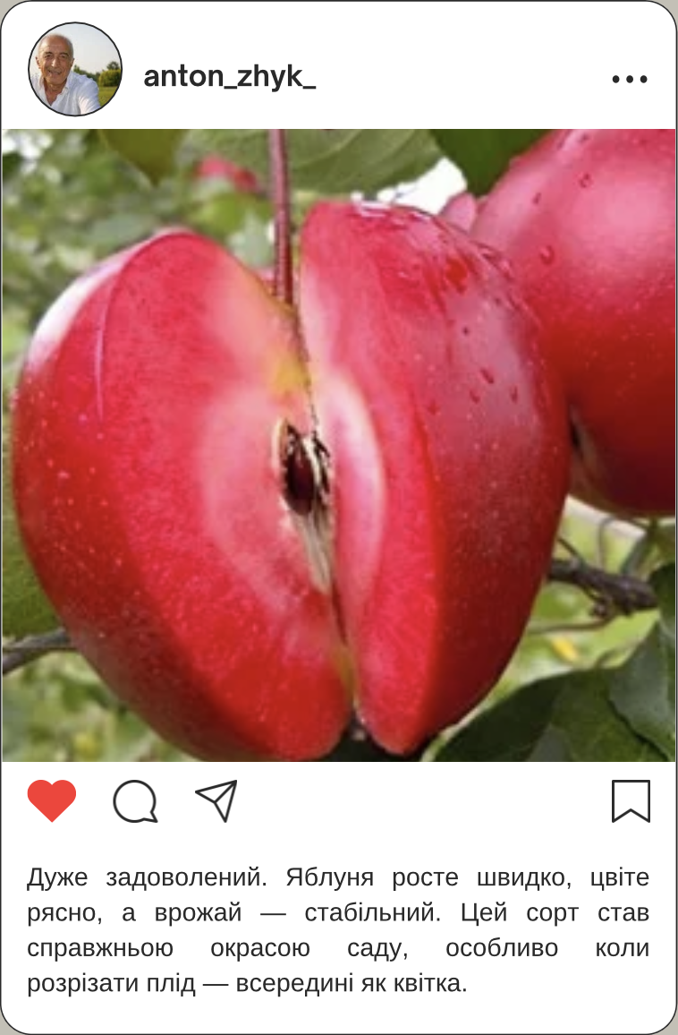 Заголовок